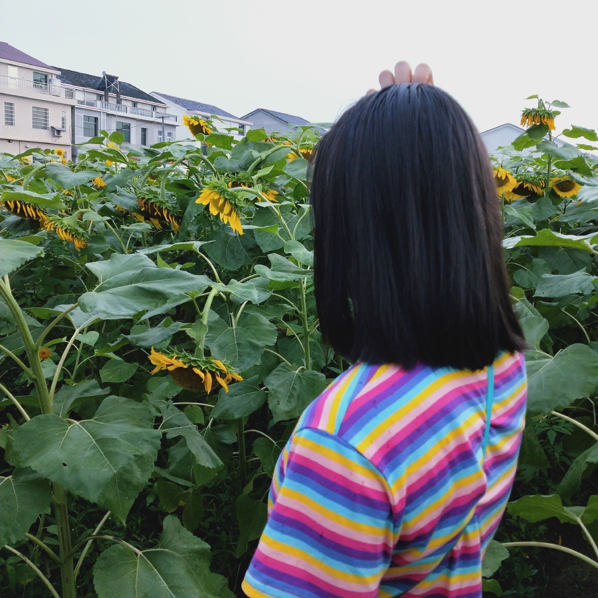 九磅十五便士616