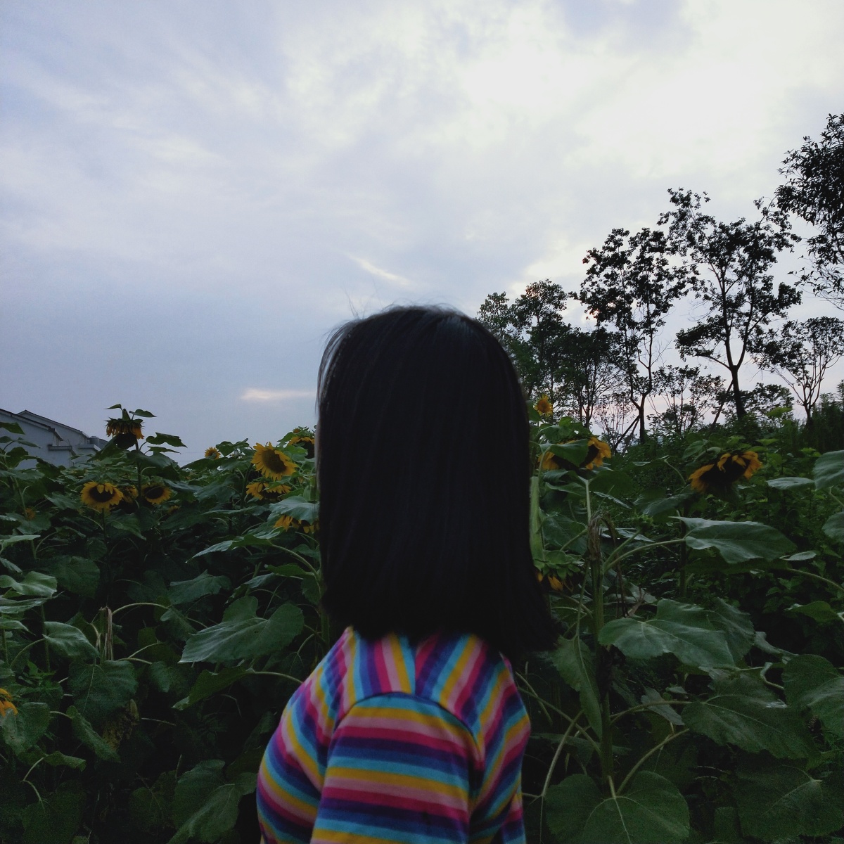 九磅十五便士616