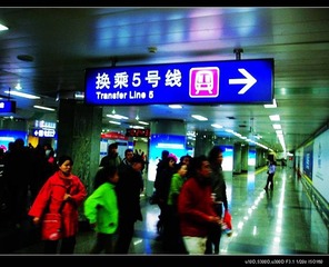 5号线