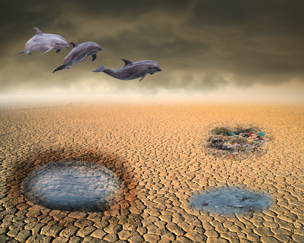 照片为后期创意作品,呼吁人们保护环境.轩辕傲风关注