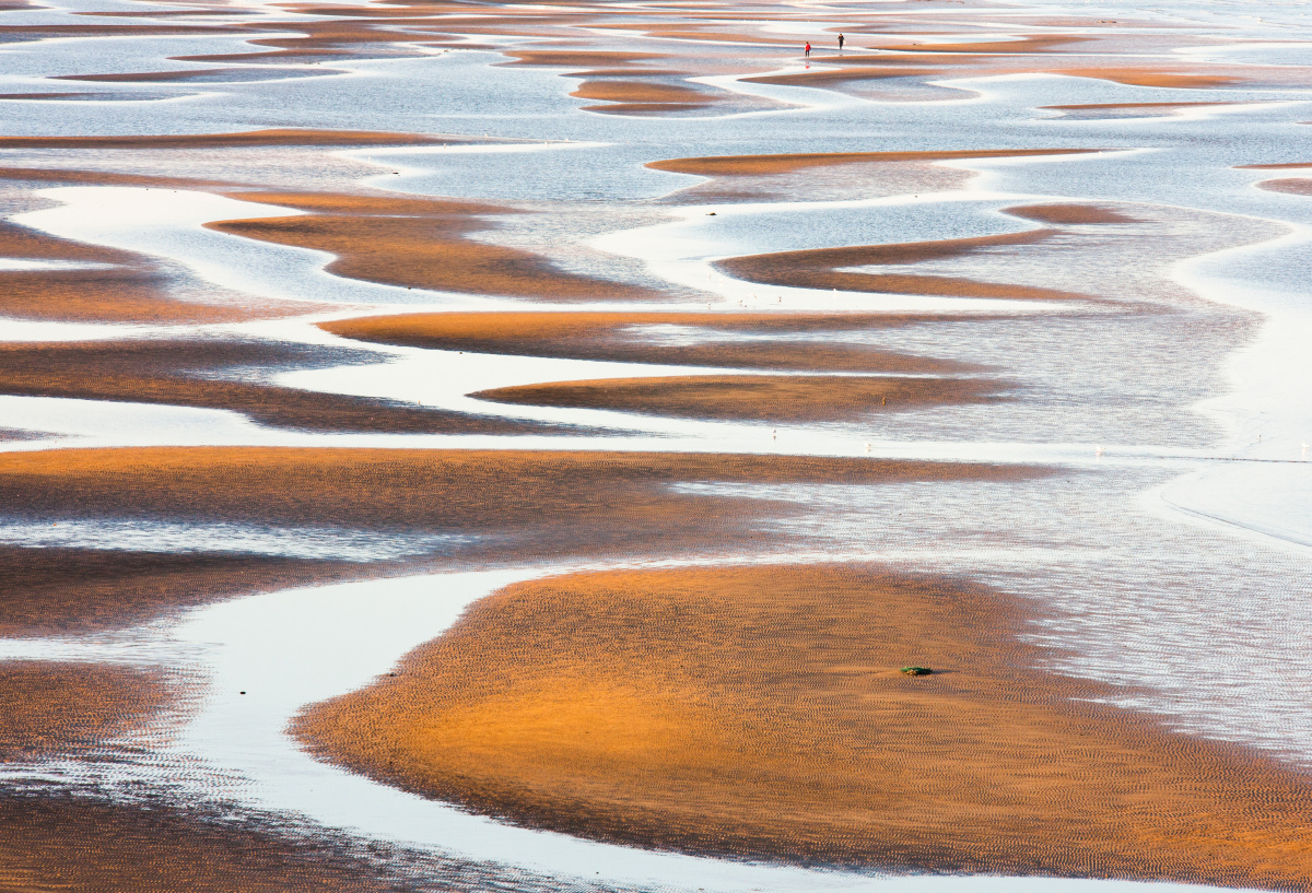 拍摄于河北省秦皇岛市北戴河湿地,表现了滩涂之美