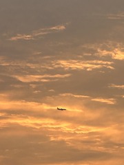 3B1309C7-1D4A-47F6-8674-A23C4FC07FD4/L0/001