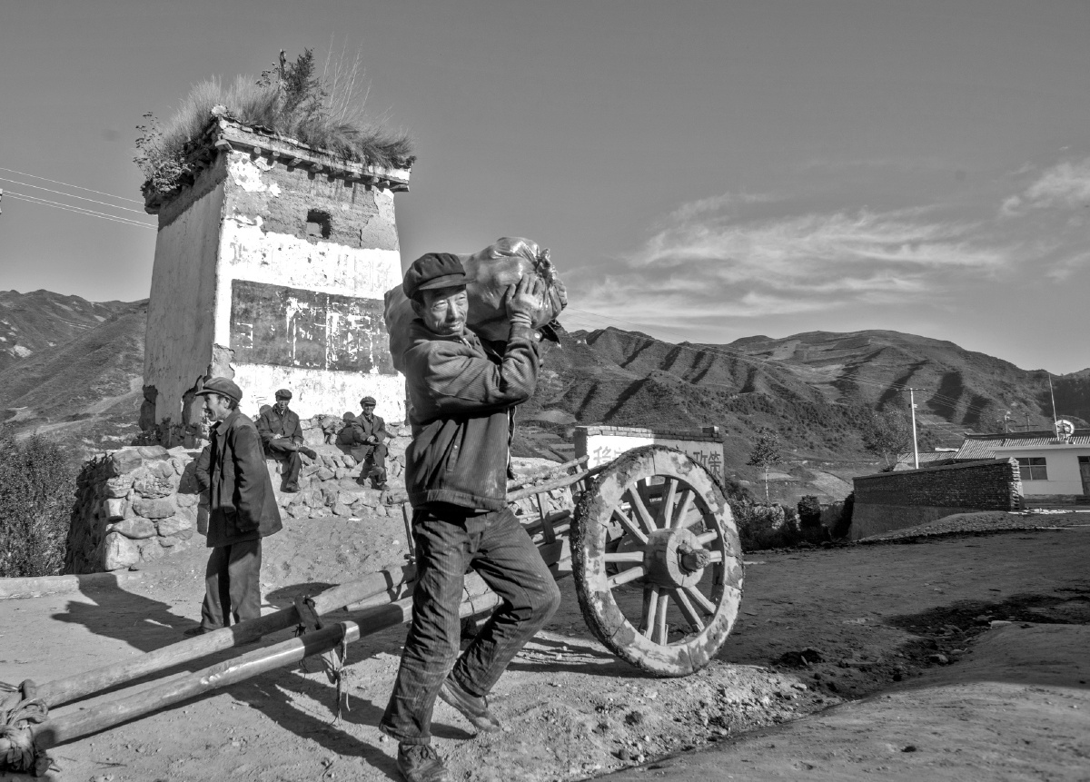  br /> 006凌晨五六点,李苏平早早起床,到几里外的山坡上去挖洋芋.