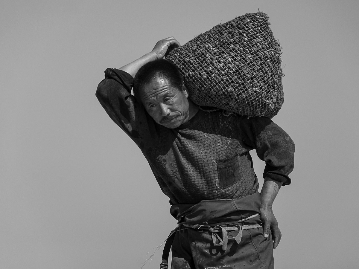 也有用肩扛的方式,这一袋蚶子约有30斤左右,2015年5月,拍摄于辽宁省