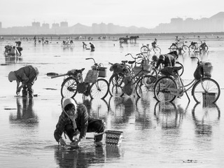 赶海人-组05