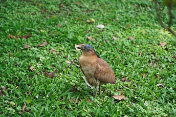 DSC08745-1