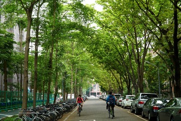 DSC08709-1