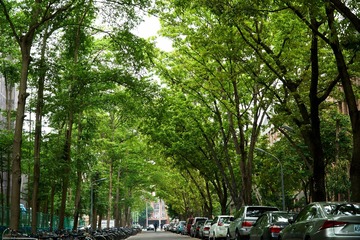 DSC08713-1