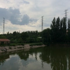 907664