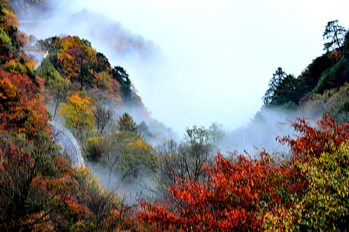 神农架上好秋色