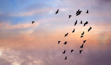 IMG_20160814_204958