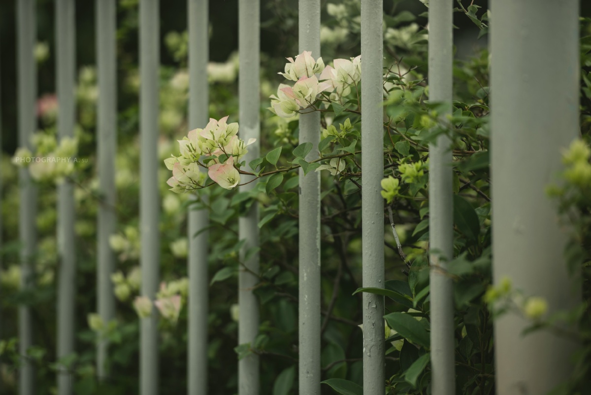 心情像天气一样,阴晴不定