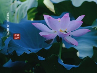 8594047E-A0E3-4E6C-BBFD-C796B77A73FE/L0/001