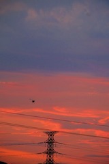 BCF1D968-00EA-4301-8677-FE4A6B090D82/L0/001