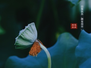 C630CFE1-100D-49A4-B142-E2F976164C72/L0/001