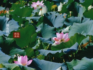 D5BF780D-E17C-441E-B4B2-8014DD5564D6/L0/001