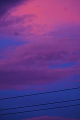 482F2846-05DC-4BA8-9868-9CB994C2AD87/L0/001