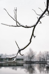 _DSC7032-编辑-拷贝