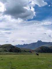 16100454-7977-4D80-B620-982DF106B58A/L0/001