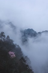 _MG_7883-13