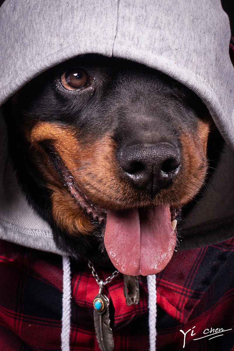 纪梵希罗威纳 - 职业摄影师一晨 - 图虫