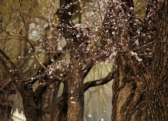 4DC87BE1-EB21-4213-A7C5-B5D628FB728D/L0/001