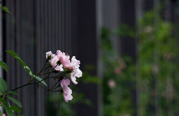 8C9F438E-3FC2-4DBA-84BA-E4B0275CB55C/L0/001