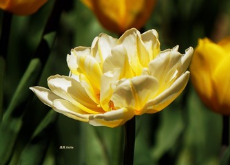 F3A1FDD3-D4D4-4258-9D74-78616CD79D8C/L0/001