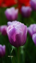 198658D4-1303-4195-A5E7-458F9E8BDEC1/L0/001