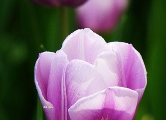 84EF9786-0FA6-40E8-A73F-C1C57BAC2397/L0/001