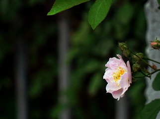 53131010-BB18-4D5B-A7EB-C15C8CF6C7AF/L0/001