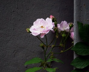 7B31421B-6824-49E3-84B1-474D2D8EE9A9/L0/001