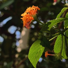 8EAE2570-D38C-406E-8FC7-1381255FADA2/L0/001