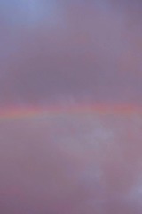 4D494AD1-1522-4C1D-9612-6A190C969789/L0/001
