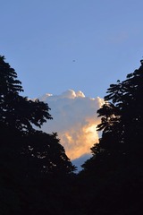 A2842079-1AB0-4790-80DF-9CDA8F9B7E30/L0/001