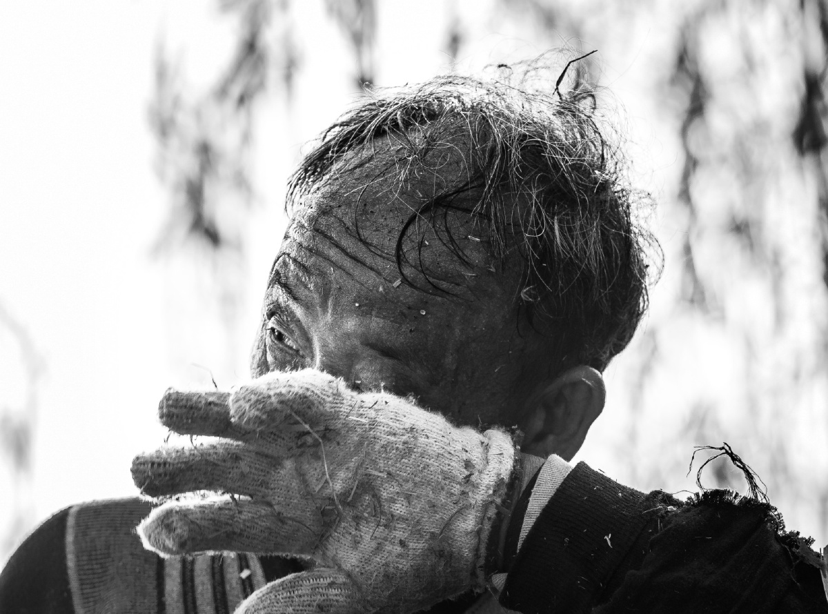 洞庭湖上砍苇人