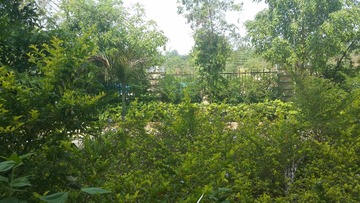 20150711_104648