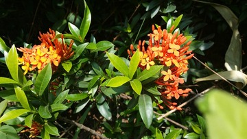 20150711_115248