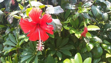 20150711_115339