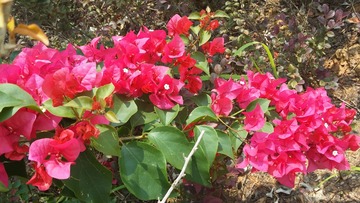 20150711_115840