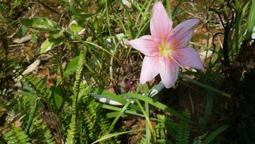 20150711_120123