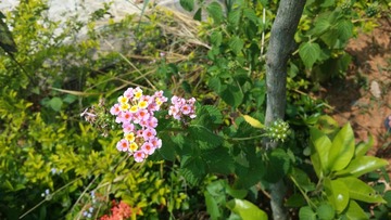 20150711_120311