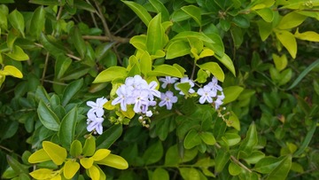 20150711_120510