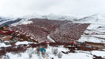 DJI_0161