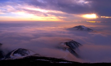 IMGP2961_