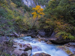 IMGP5246-03