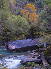 IMGP5255-03 - 