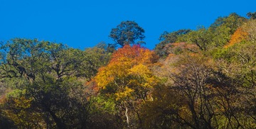 IMGP5436-03