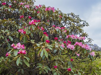 IMGP1469-03