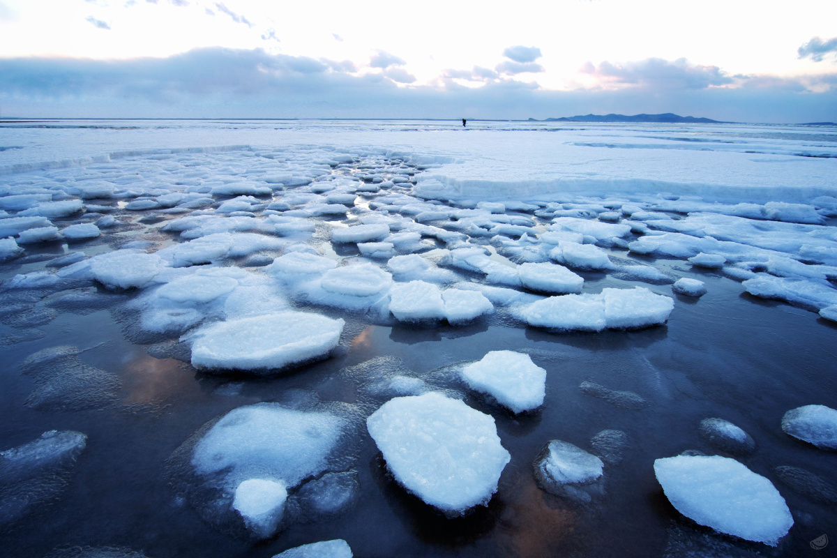 海冰
